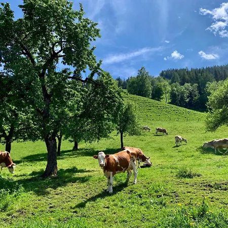 Frechhof Appartamento