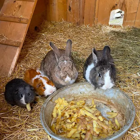 アパート Frechhof シュラートミンク