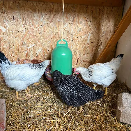 アパート Frechhof