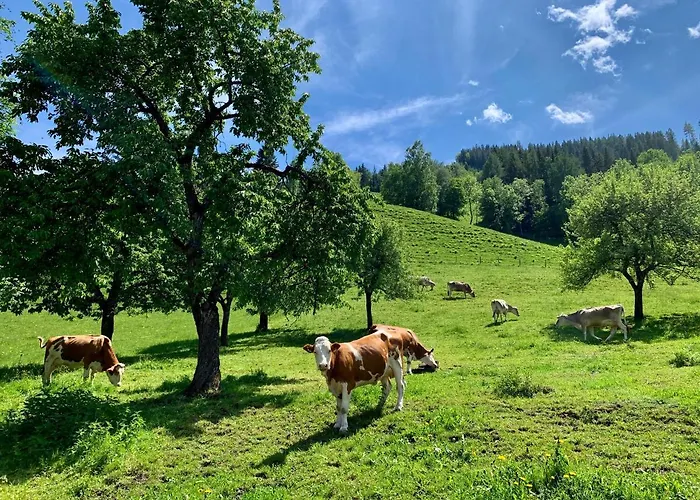 Frechhof Appartement