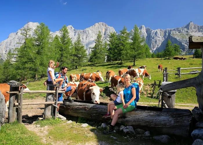 Appartement Frechhof *