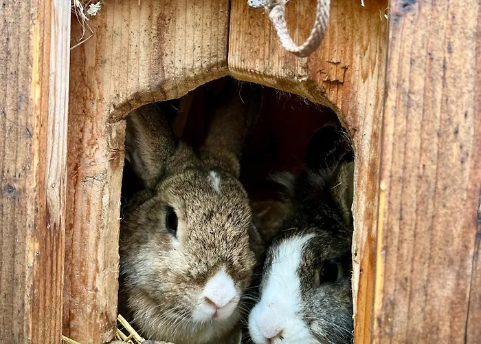 Frechhof Appartement *
