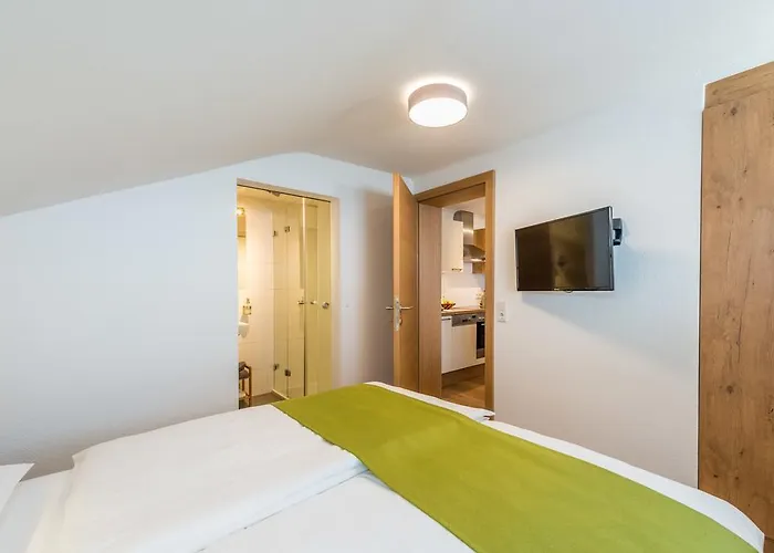 公寓 Frechhof 斯拉德明